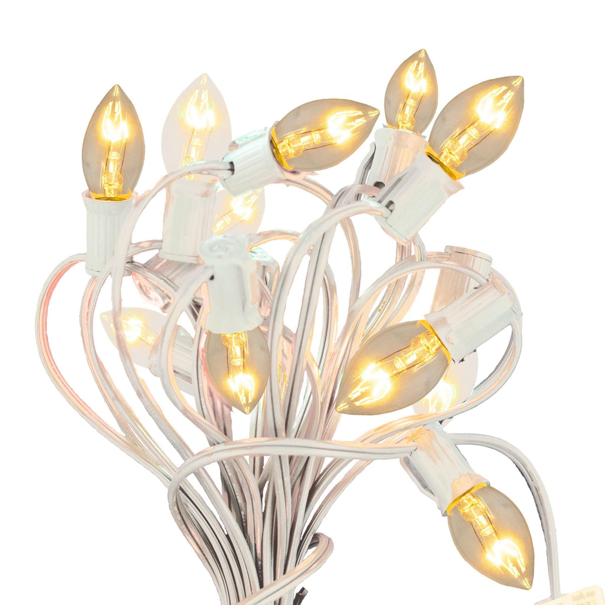 25FT Clear Magnetic Outdoor String Lighting Set!    Choose between Twinkling Bulbs and Steady Burning Bulbs, White Wire or Green Wire Cords, C7 & C9 Size available.  Shop now at leedisplay.com