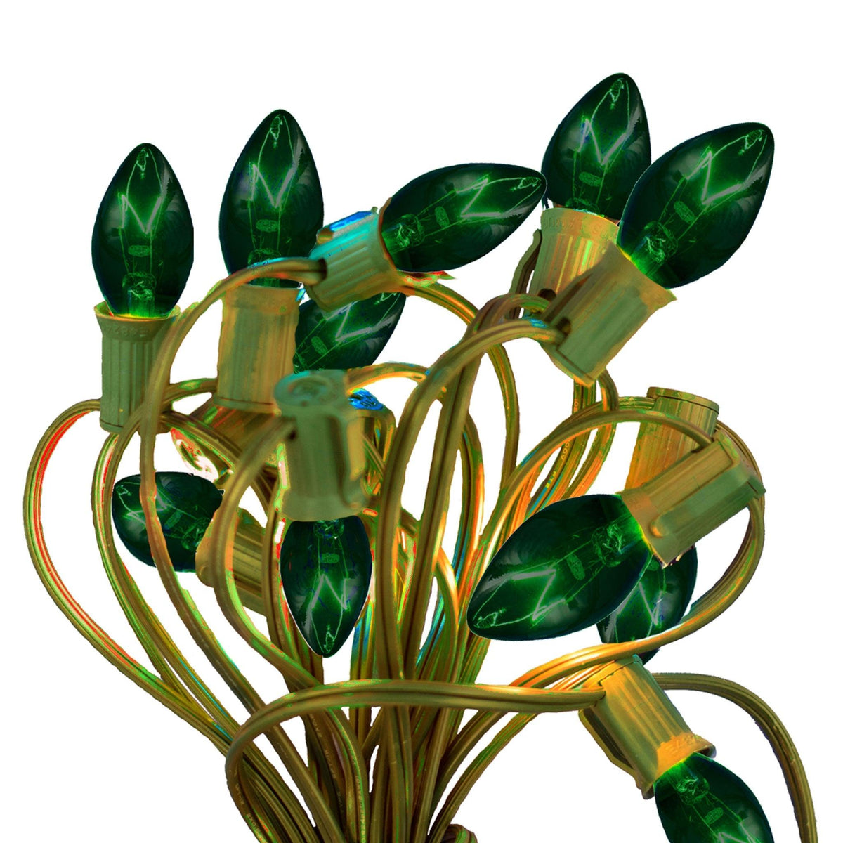 Green Outdoor String Lights - Lee Display