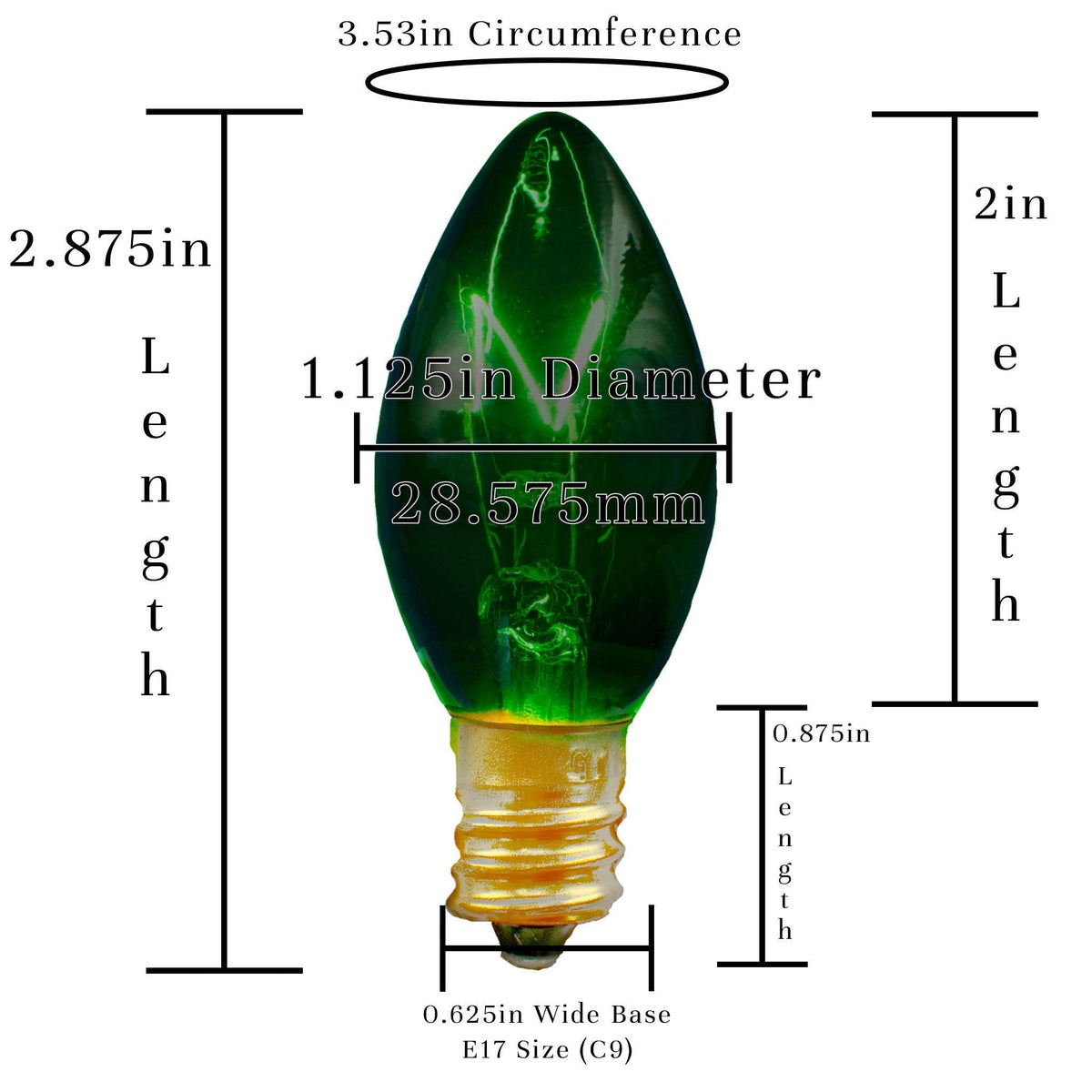 Green Outdoor String Lights - Lee Display