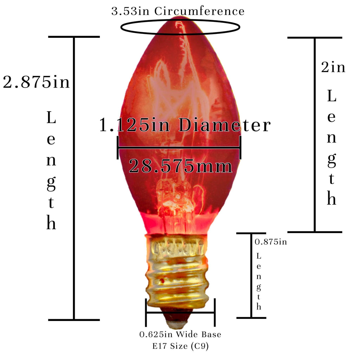 25FT Halloween Outdoor String Lighting Set sold at leedisplay.com