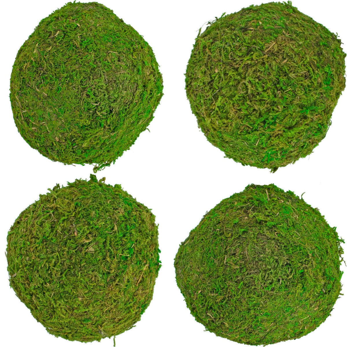 Purchase a brand new bundle of real natural green moss balls for your rustic home decor accents and centerpieces.  Sold now at leedisplay.com