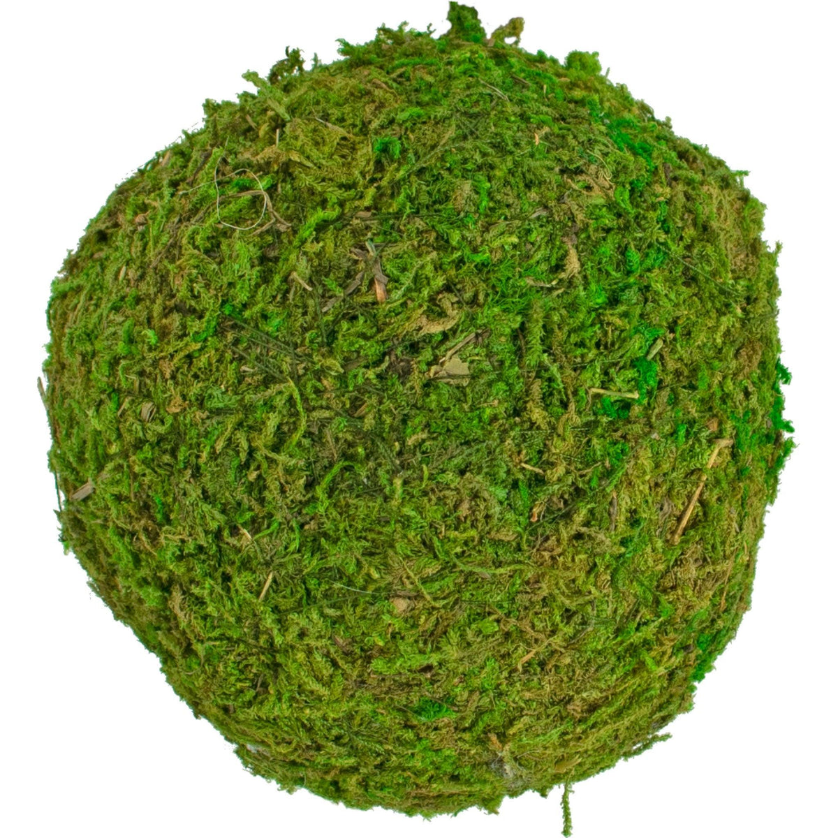 Purchase a brand new bundle of real natural green moss balls for your rustic home decor accents and centerpieces.  Sold now at leedisplay.com