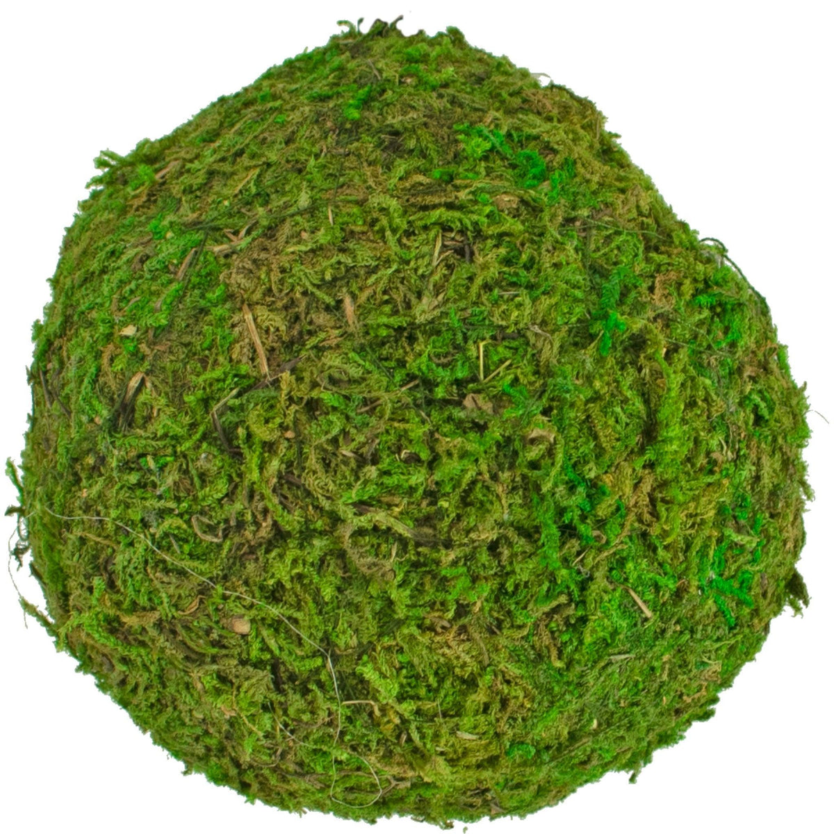 Purchase a brand new bundle of real natural green moss balls for your rustic home decor accents and centerpieces.  Sold now at leedisplay.com