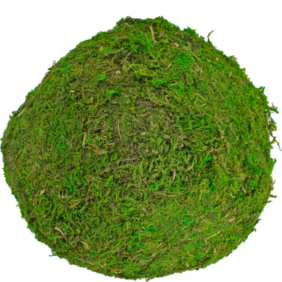 Purchase a brand new bundle of real natural green moss balls for your rustic home decor accents and centerpieces.  Sold now at leedisplay.com